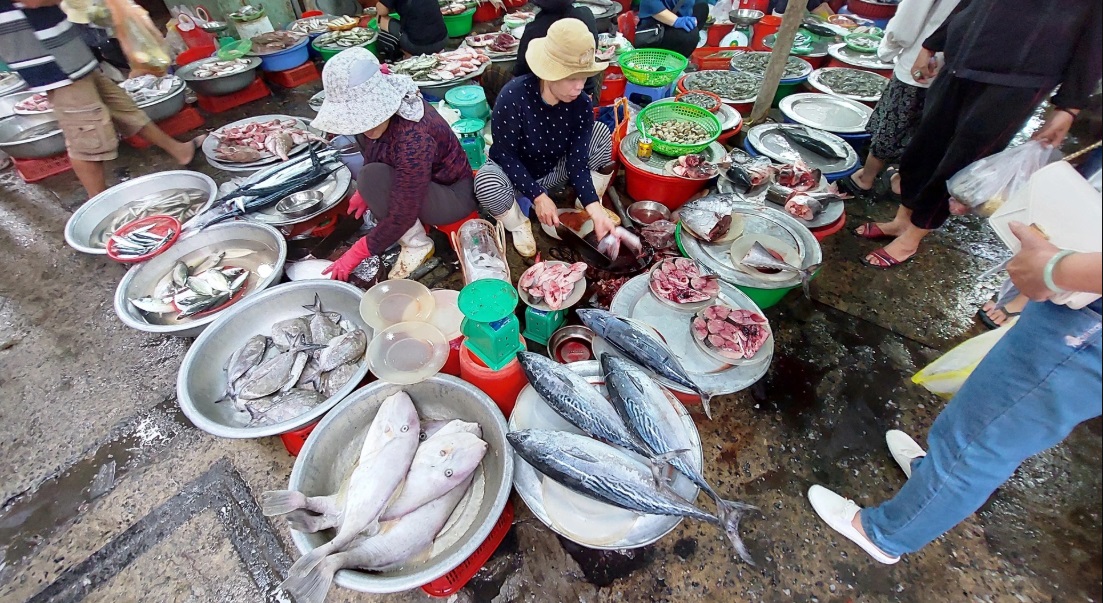 Xom Moi Market photos showcase vibrant stalls filled with seafood