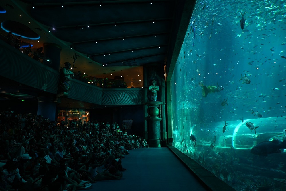 activities await at VinWonders Phu Quoc