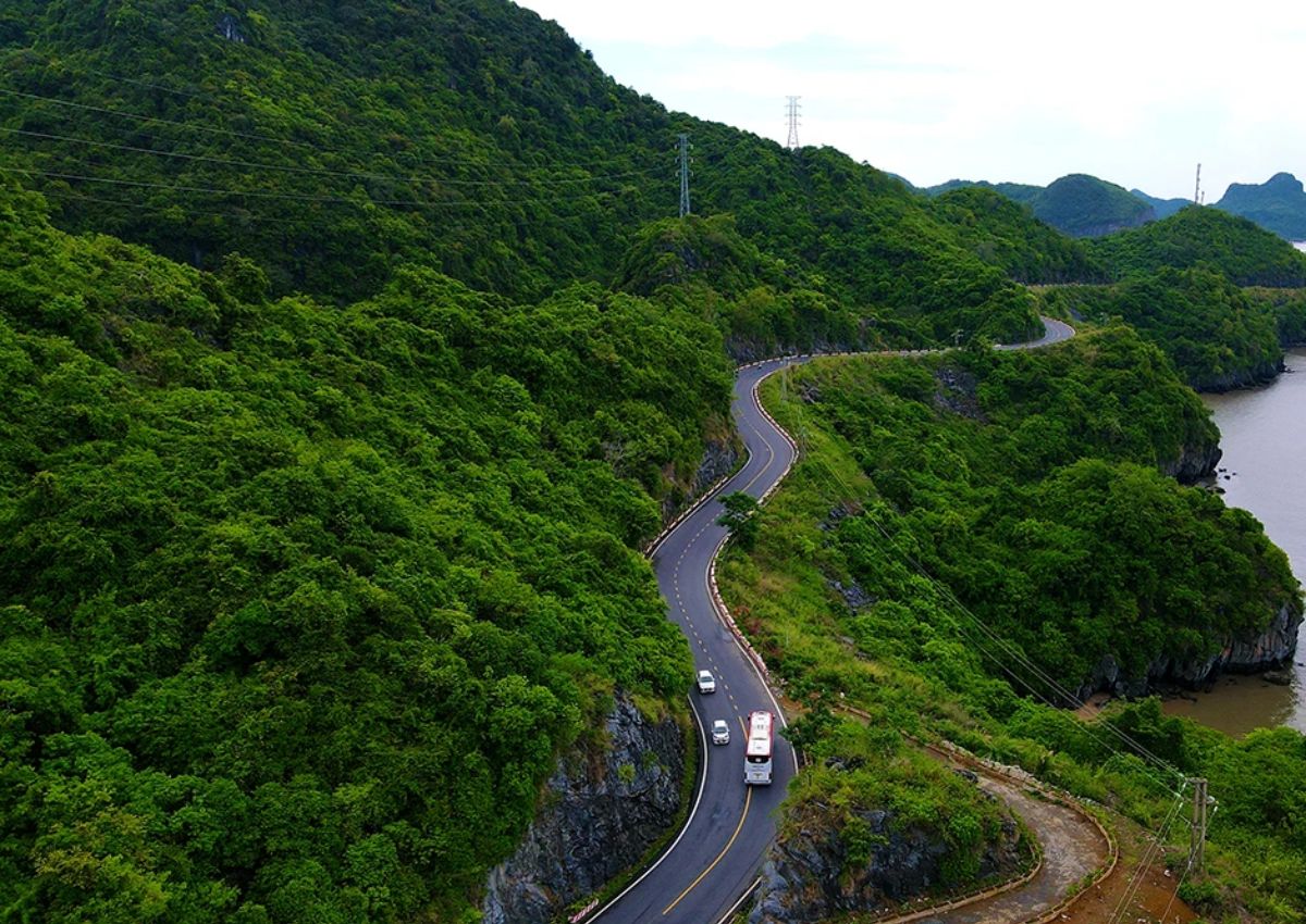 Phương tiện di chuyển trên đảo Cát Bà