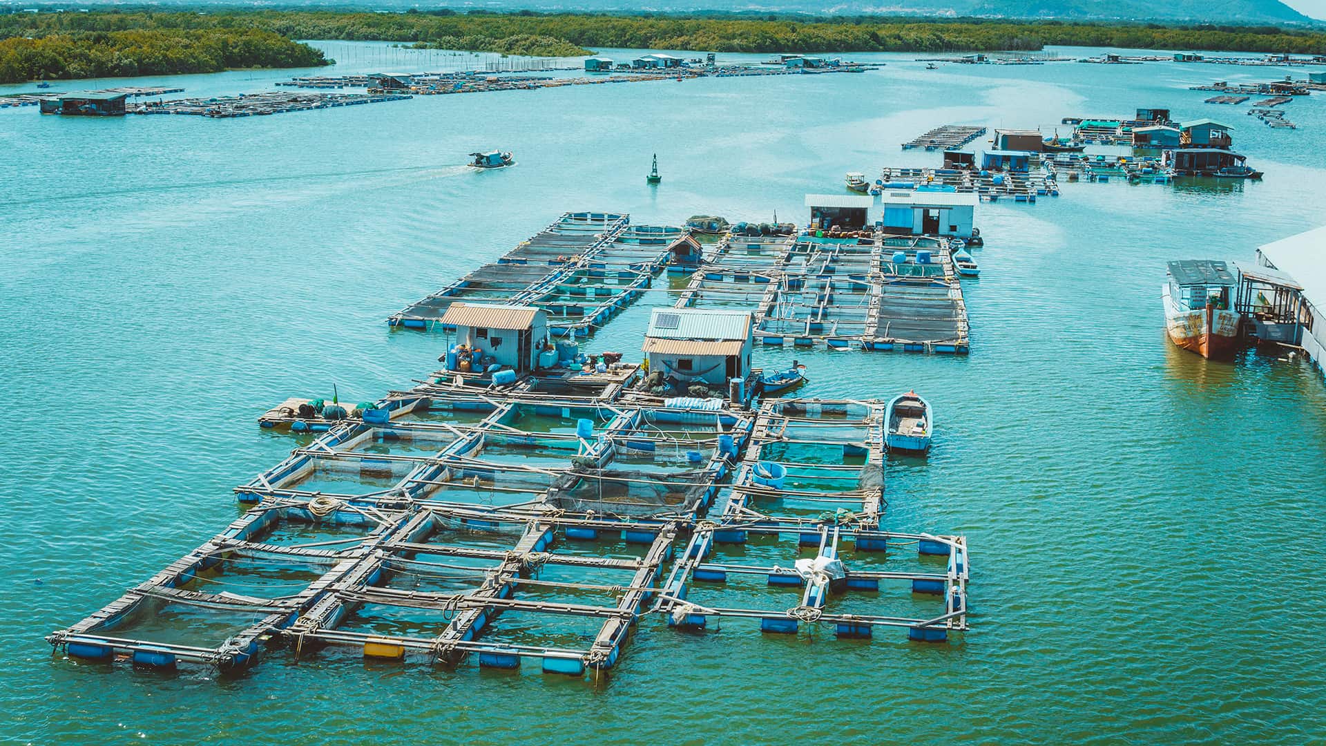 tour du lịch Vũng Tàu 2 ngày 1 đêm