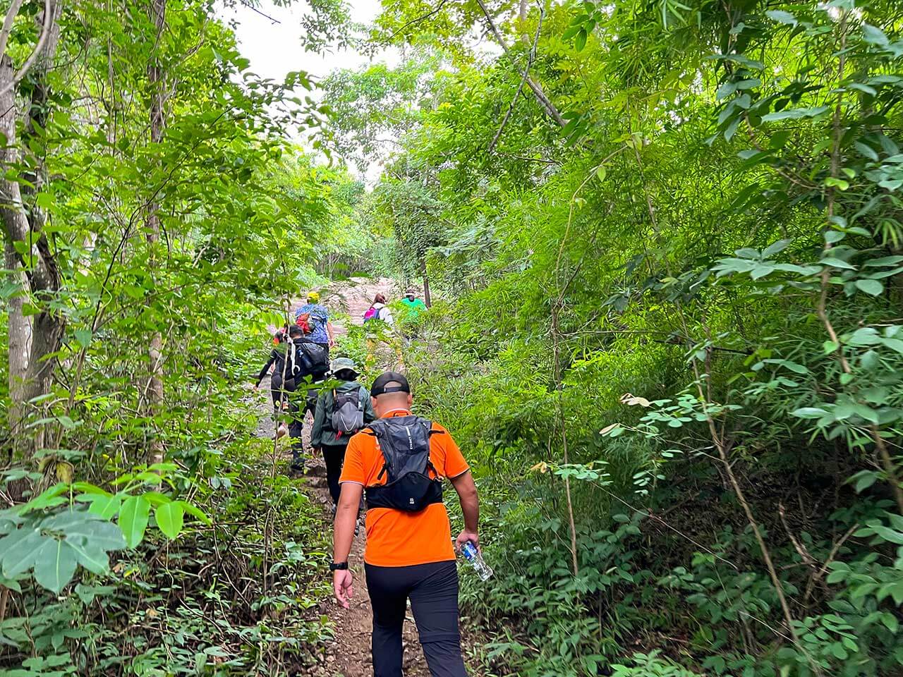 trekking núi Dinh Vũng Tàu