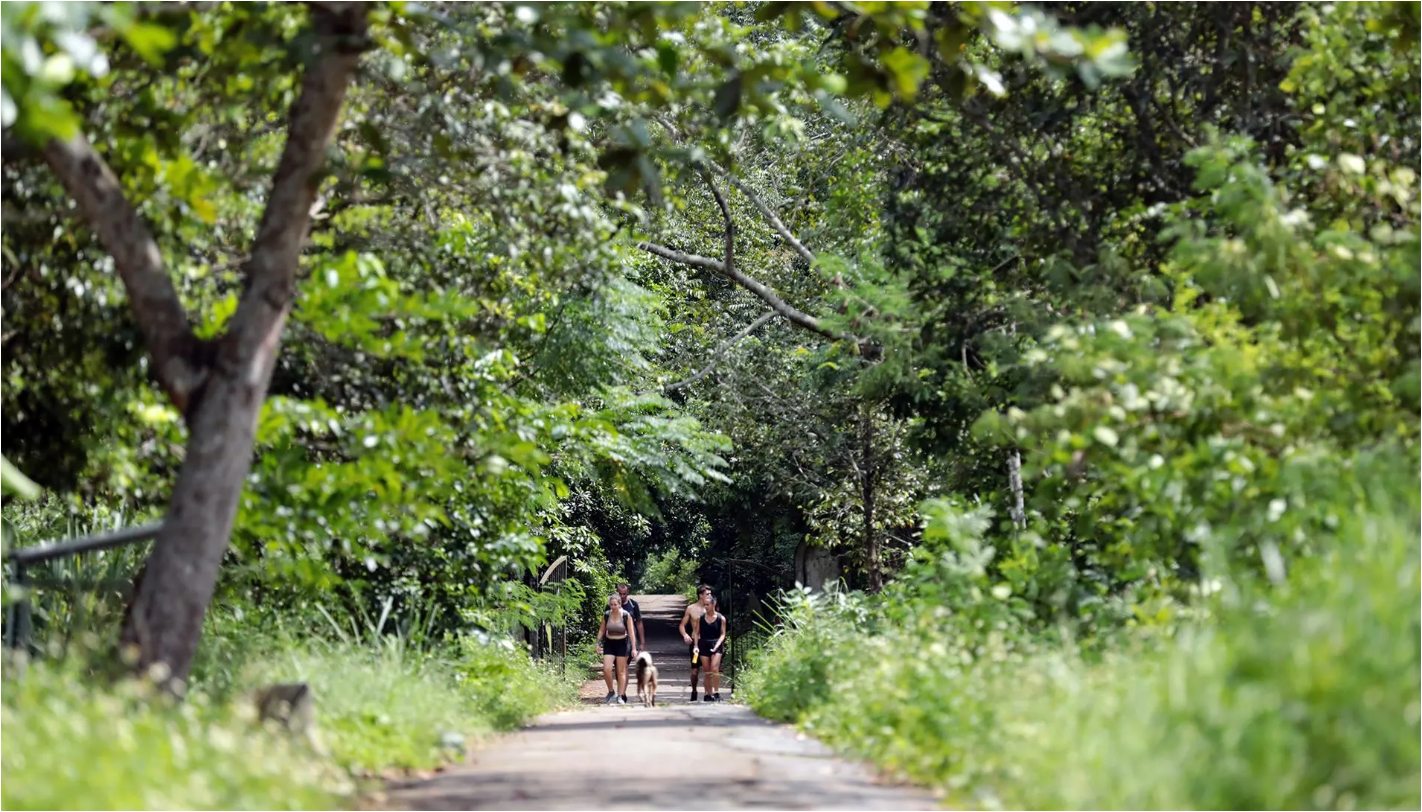 Trekking vườn quốc gia Cát Bà
