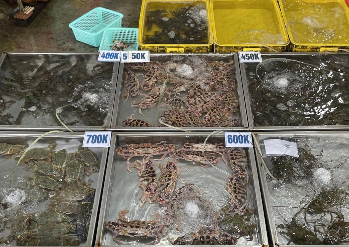 Vựa hải sản Thy Thy Vũng Tàu