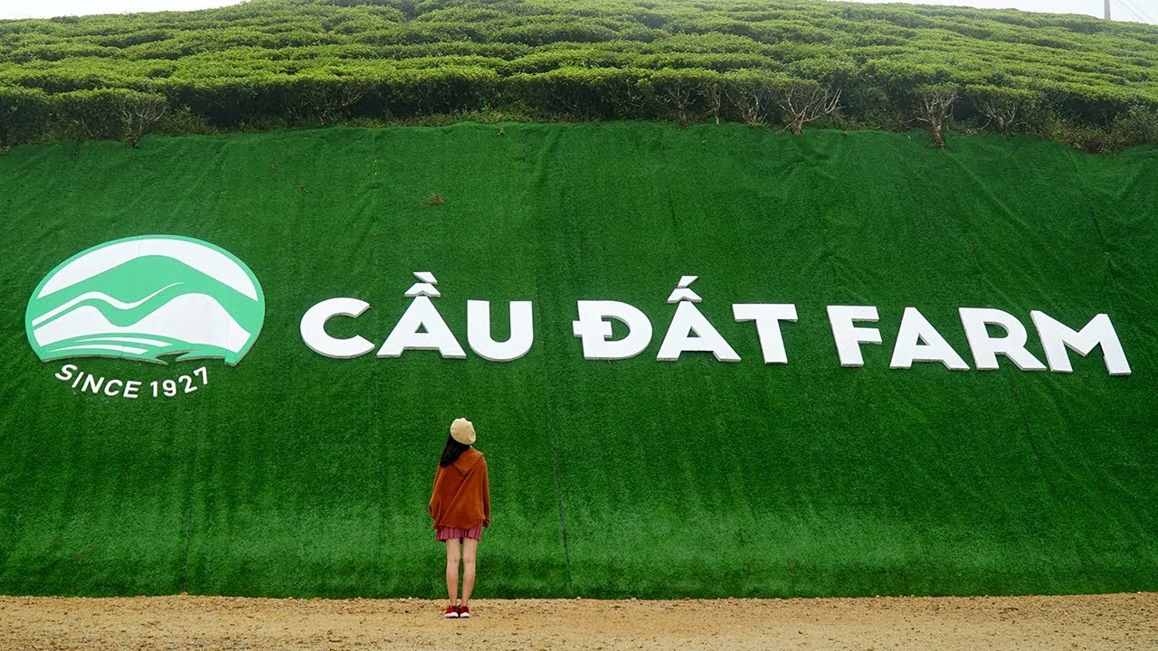 Cau Dat Farm Da Lat