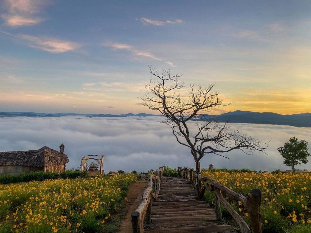 Cau Dat Tea Hill cloud hunting