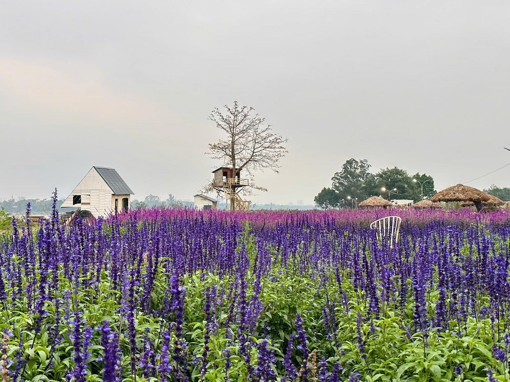 Flower Garden at Red River Rock Park