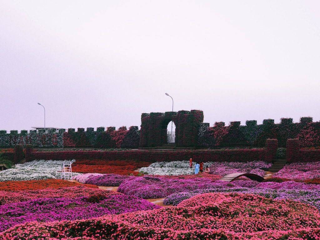 Ho Tay Flower Valley