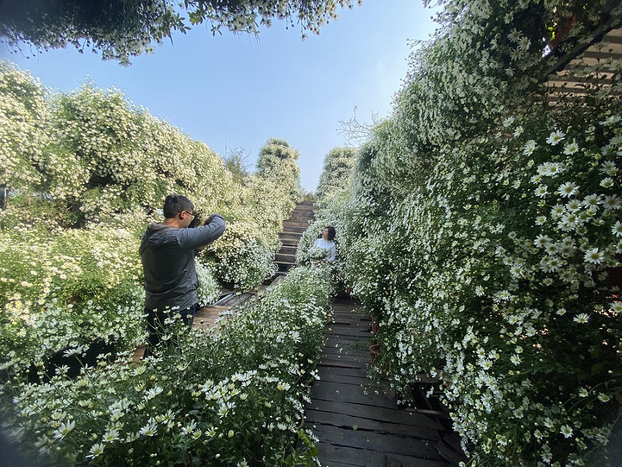 Phuong Linh Flower Garden