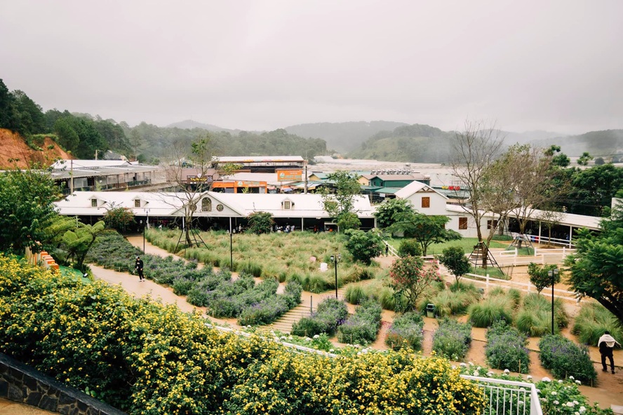 Puppy Farm in Da Lat