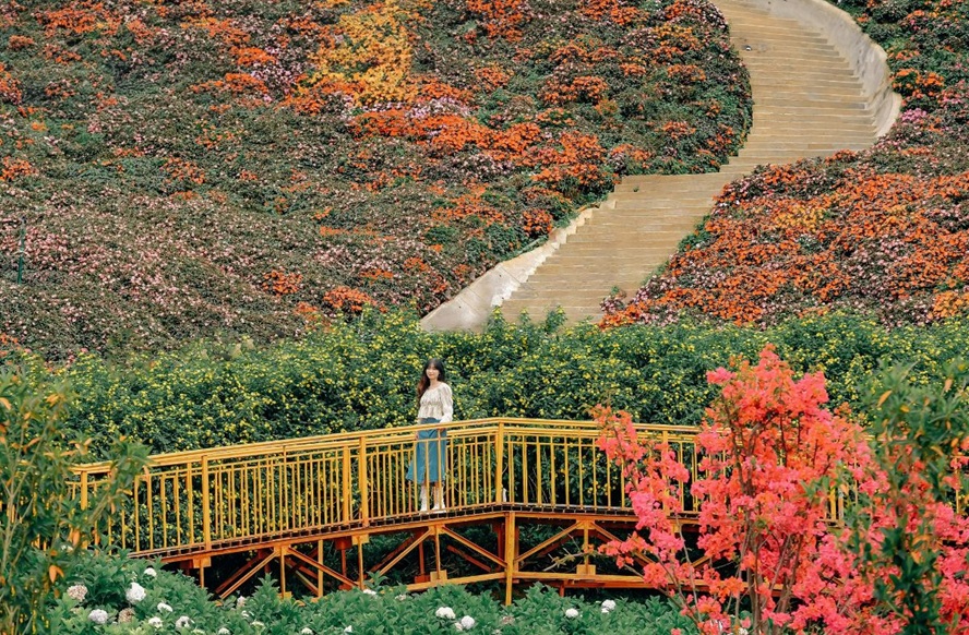 The agricultural area at Puppy Farm Da Lat