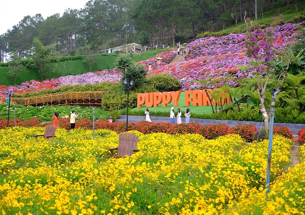 The hills at Puppy Farm Da Lat
