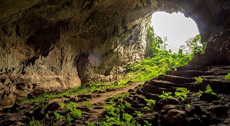 Tiger Cave in Phong Nha: A hidden gem of Vietnam’s cave kingdom