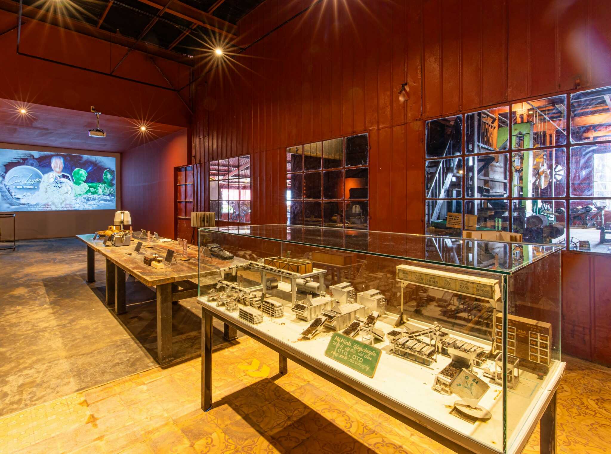 Visit Cau Dat Tea Museum