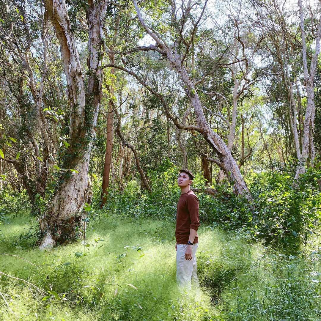 Check-in rừng Quốc gia Bình Châu