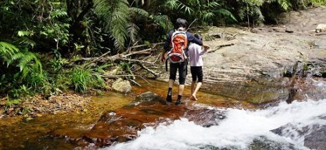 Da Lat hiking: Your ultimate guide to scenic treks & tours