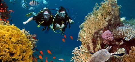 Diving in Vietnam: Best time, top spots & must-know tips