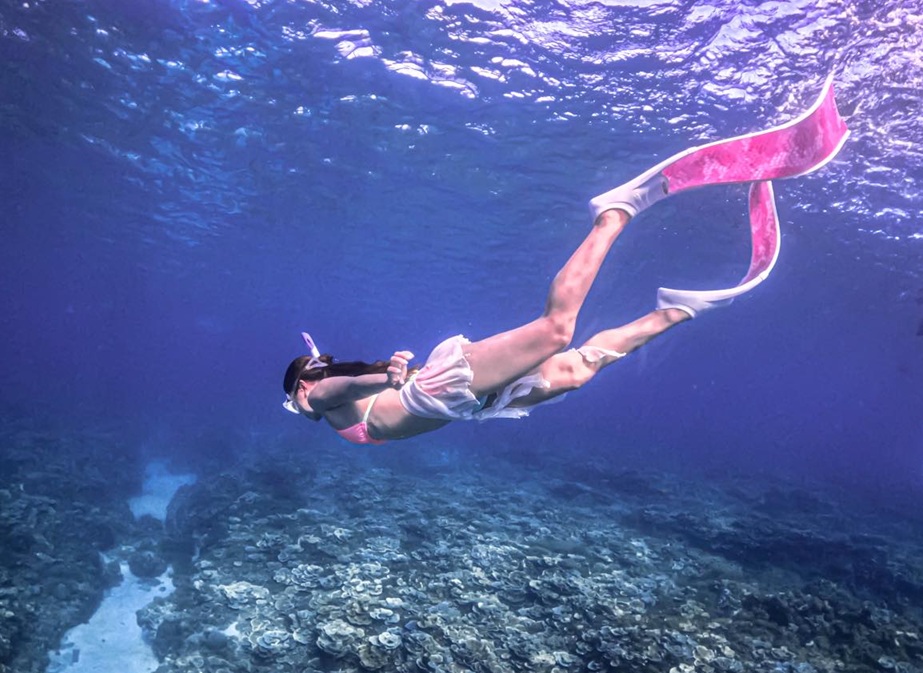 enjoy Vietnam’s underwater world