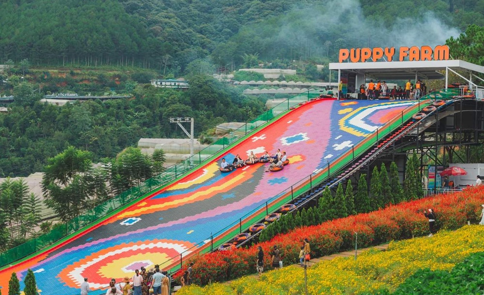 giant dry slide in Puppy Farm Da Lat