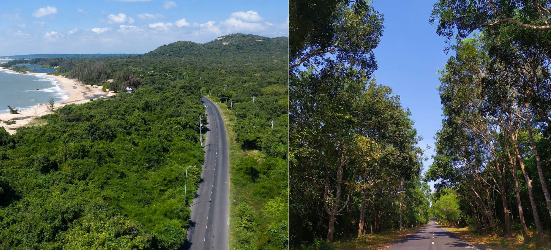 Khu bảo tồn thiên nhiên Bình Châu - Phước Bửu