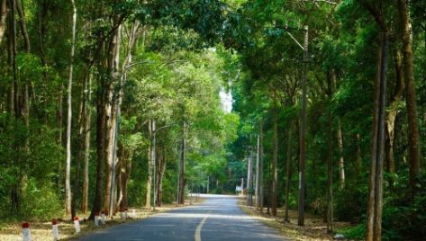 Cẩm nang du lịch Khu bảo tồn thiên nhiên Bình Châu – Phước Bửu