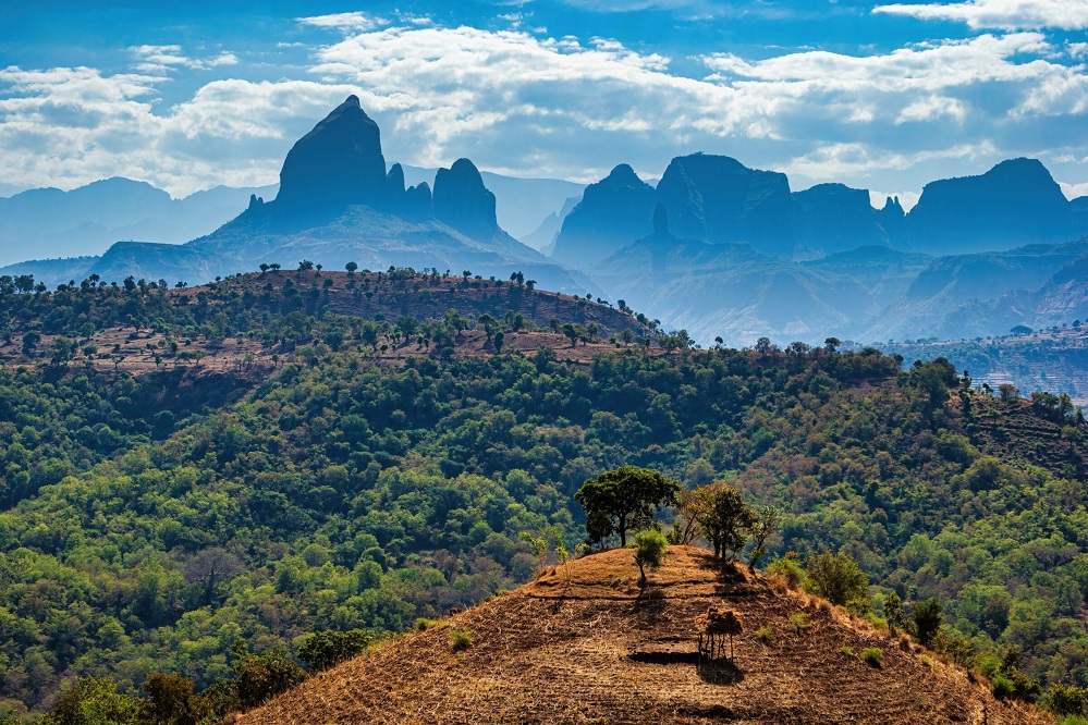 Best budget Ethiopia trip from India