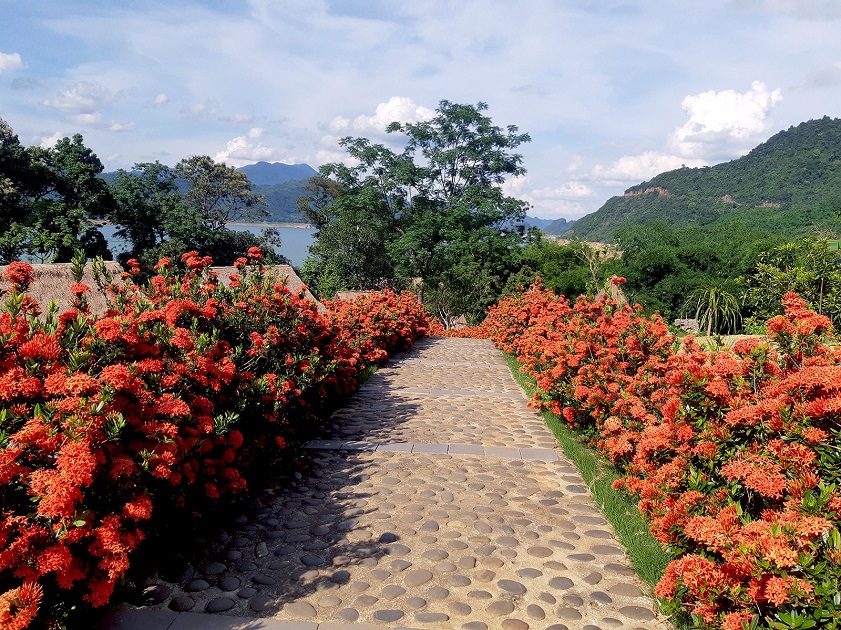 Check out Thai Flower Garden Mai Chau