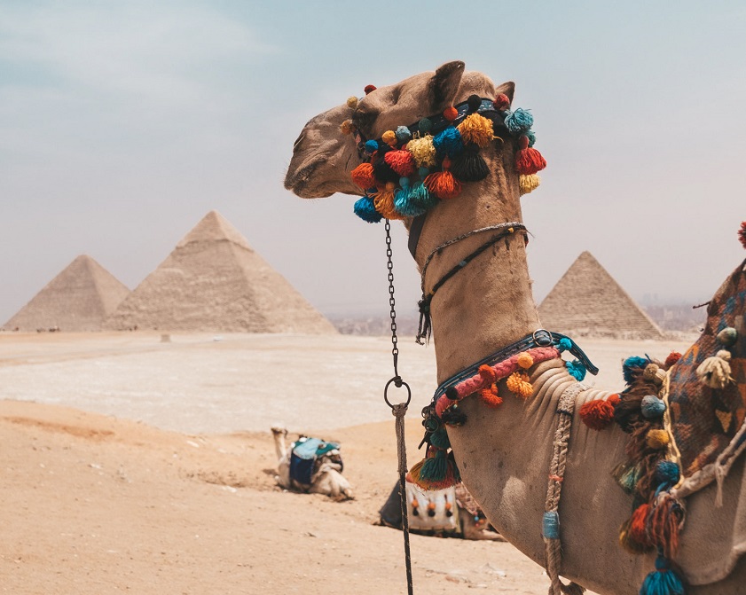 Egypt is among the best international places to visit from India in October