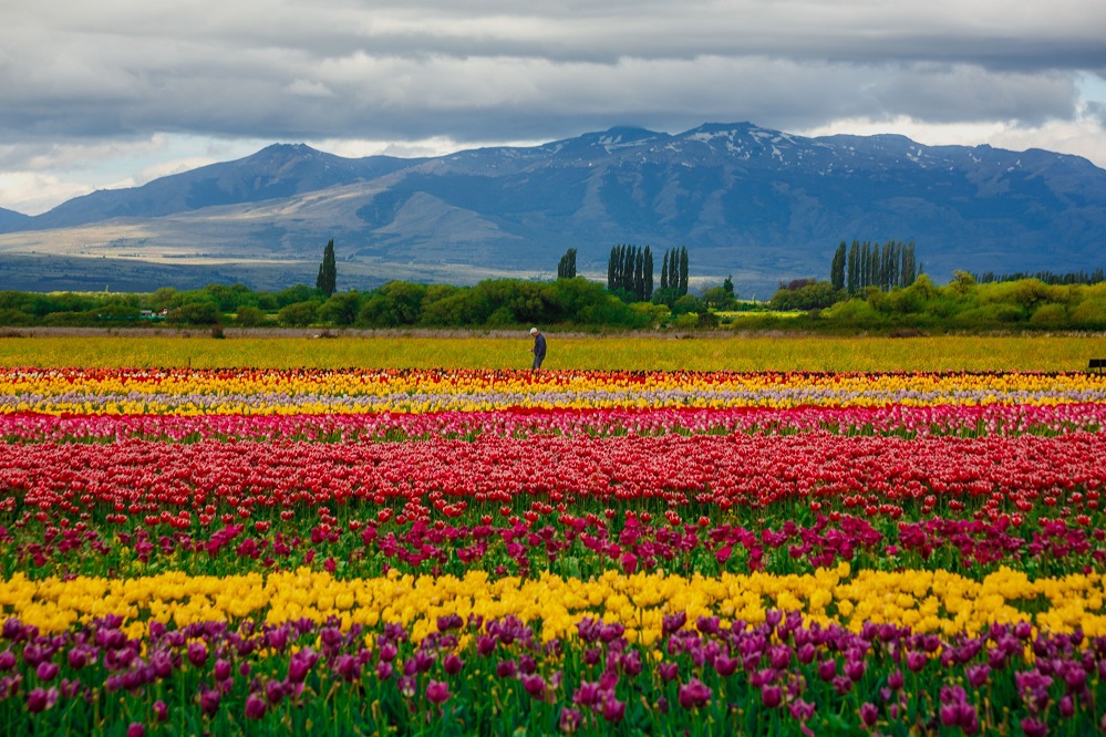 Safest countries to visit with family Family friendly Argentina