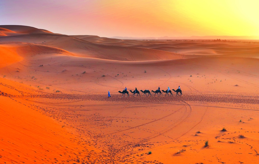 Friends' journey to Marrakech