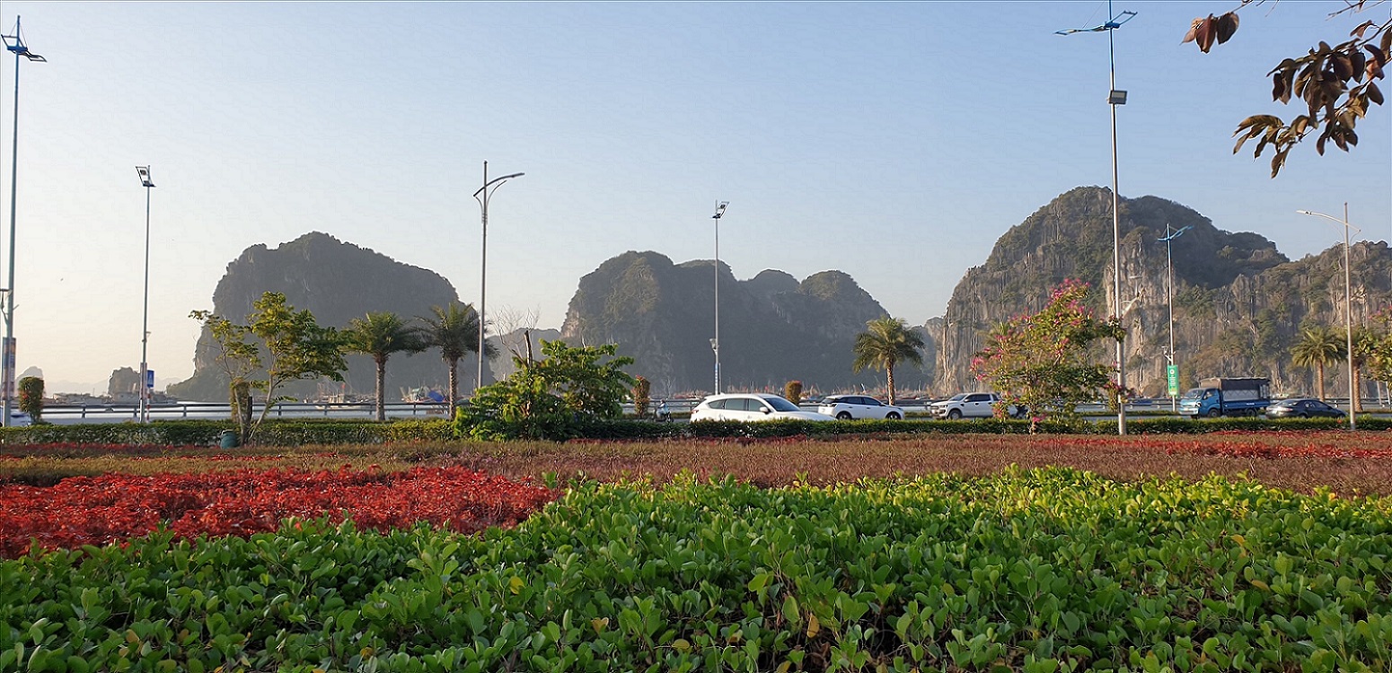 Ha Long Flower Park