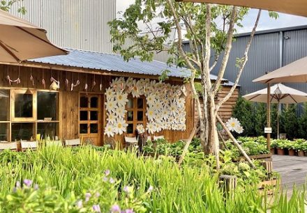 13 Ha Long cafes that are perfect for coffee and chilling