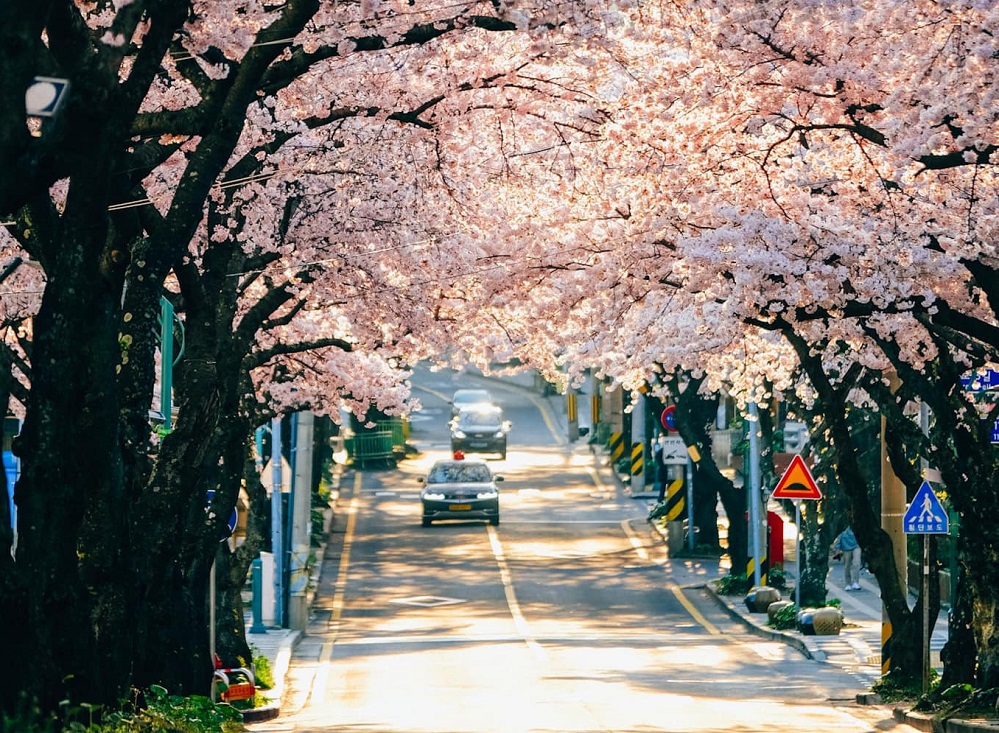 South Korea for solo travel in Asia