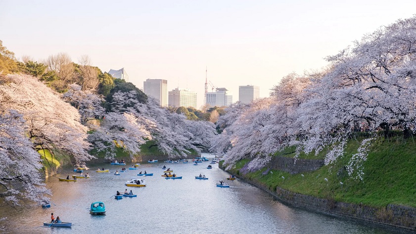 Tokyo is among the very best Asia destinations