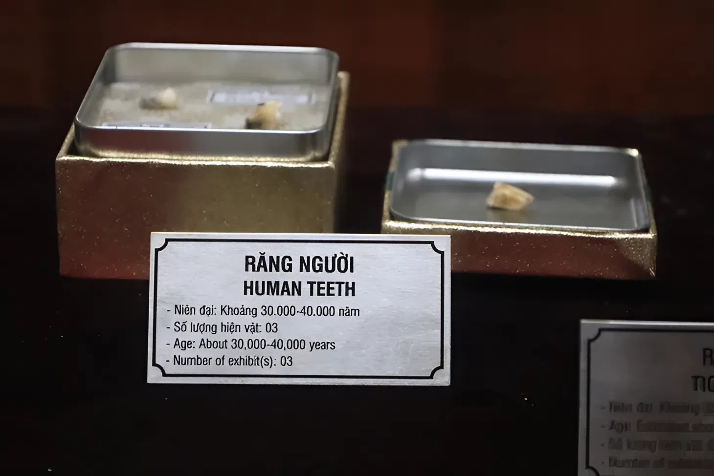 Chùa Nhẫm Dương Các hiện vật tại chùa Nhẫm Dương