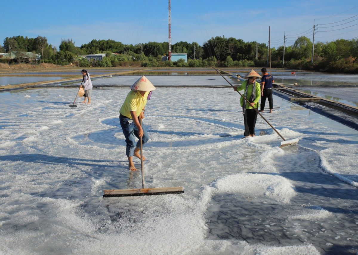 Cánh đồng muối trắng trên đảo Thiềng Liềng