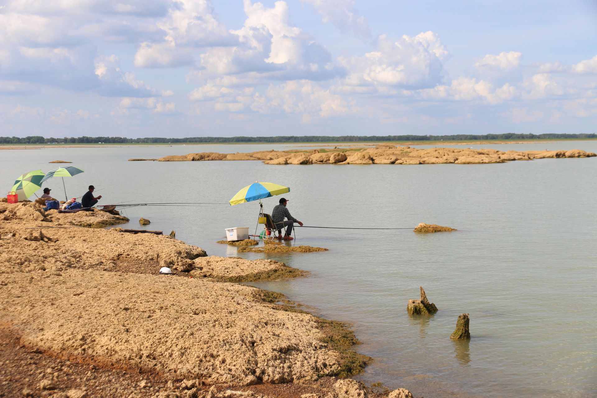 Câu cá hồ Dầu Tiếng