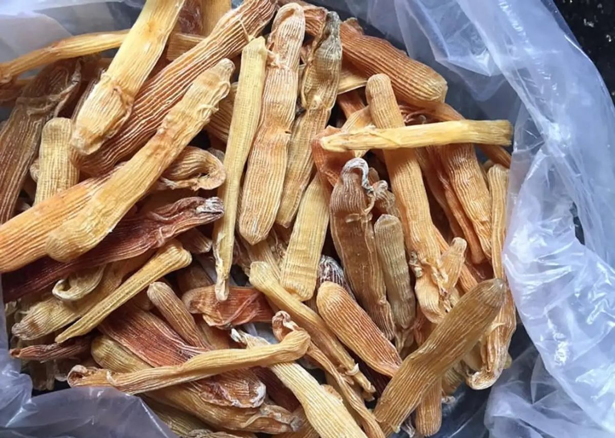 Đặc sản địa sâm Cần Giờ