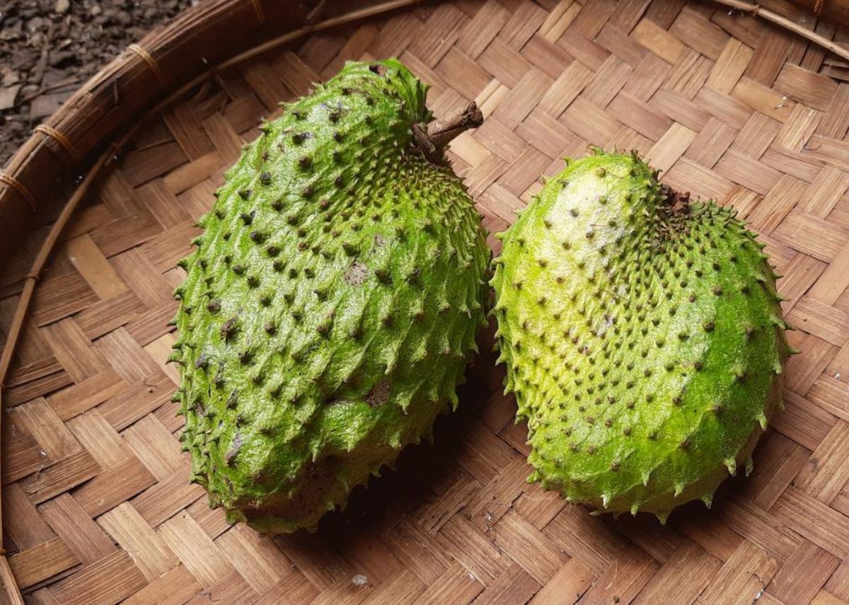 Đặc sản mãng cầu Cần Giờ