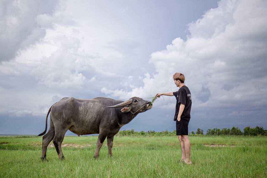 Đảo Nhím hồ Dầu Tiếng