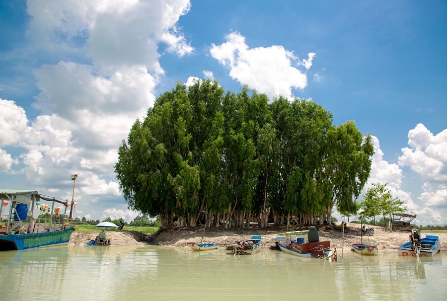 Đảo Nhím Tây Ninh