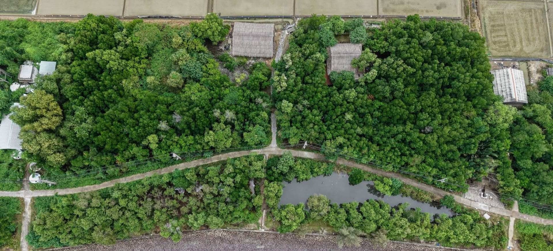 Đảo Thiềng Liềng