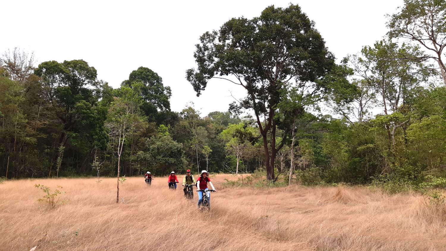 Đạp xe vườn quốc gia Lò Gò - Xa Mát