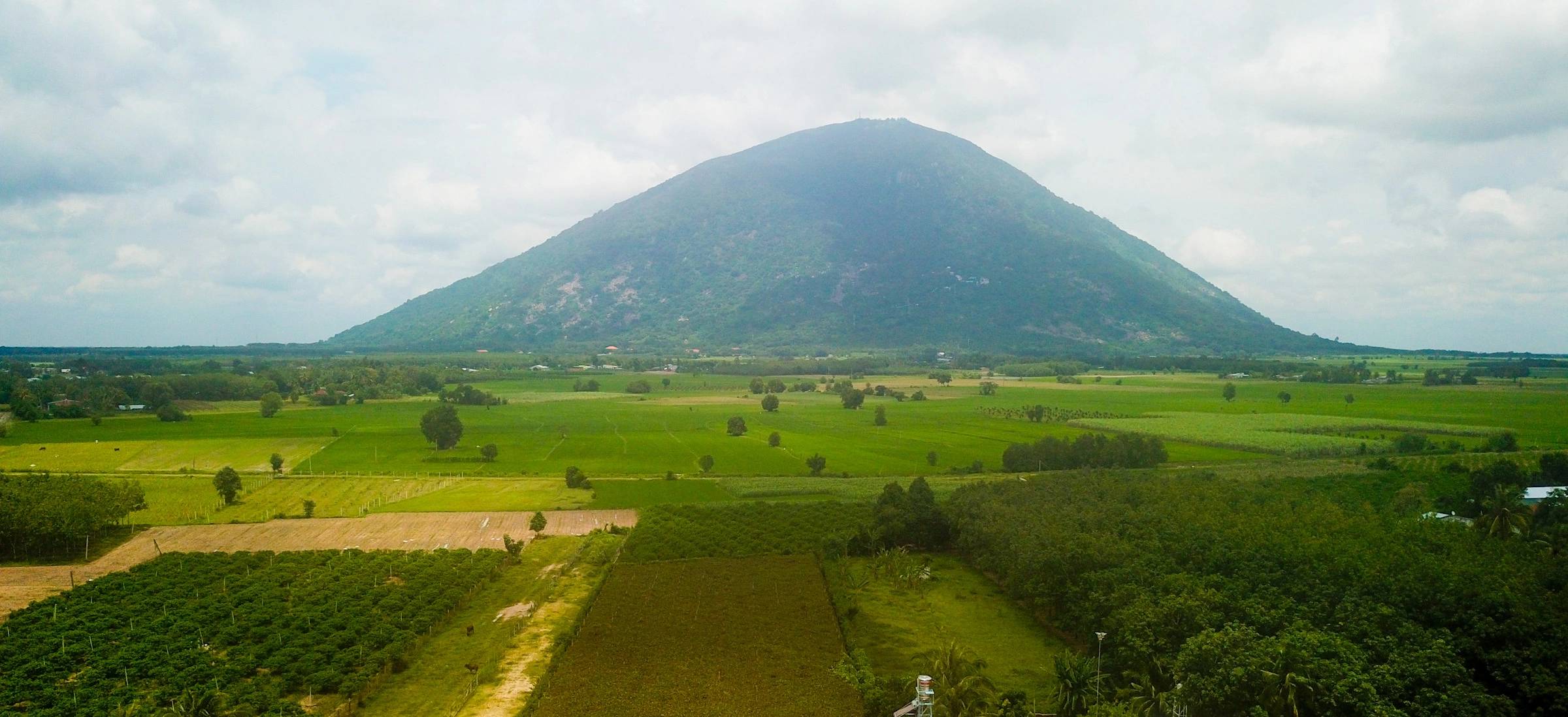 Địa chỉ vườn nho Tây Ninh 