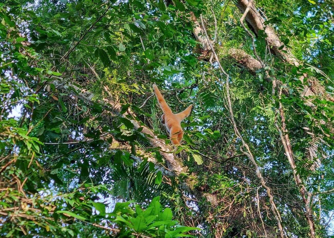 Địa điểm du lịch Tây Ninh