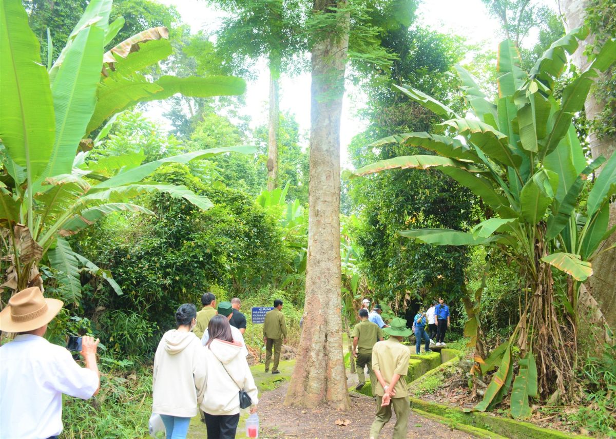 Rừng Chàng Riệc Du khách tham quan rừng Chàng Riệc