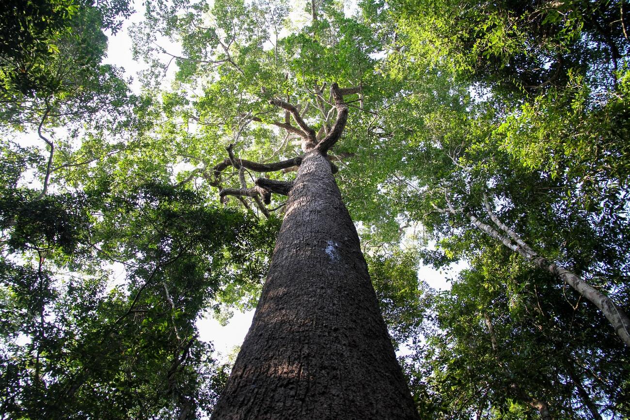 Du lịch vườn quốc gia Lò Gò Xa Mát