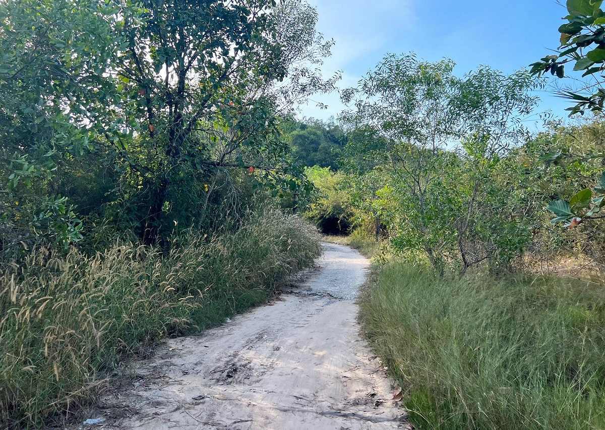 Đường lên núi Cậu Tây Ninh