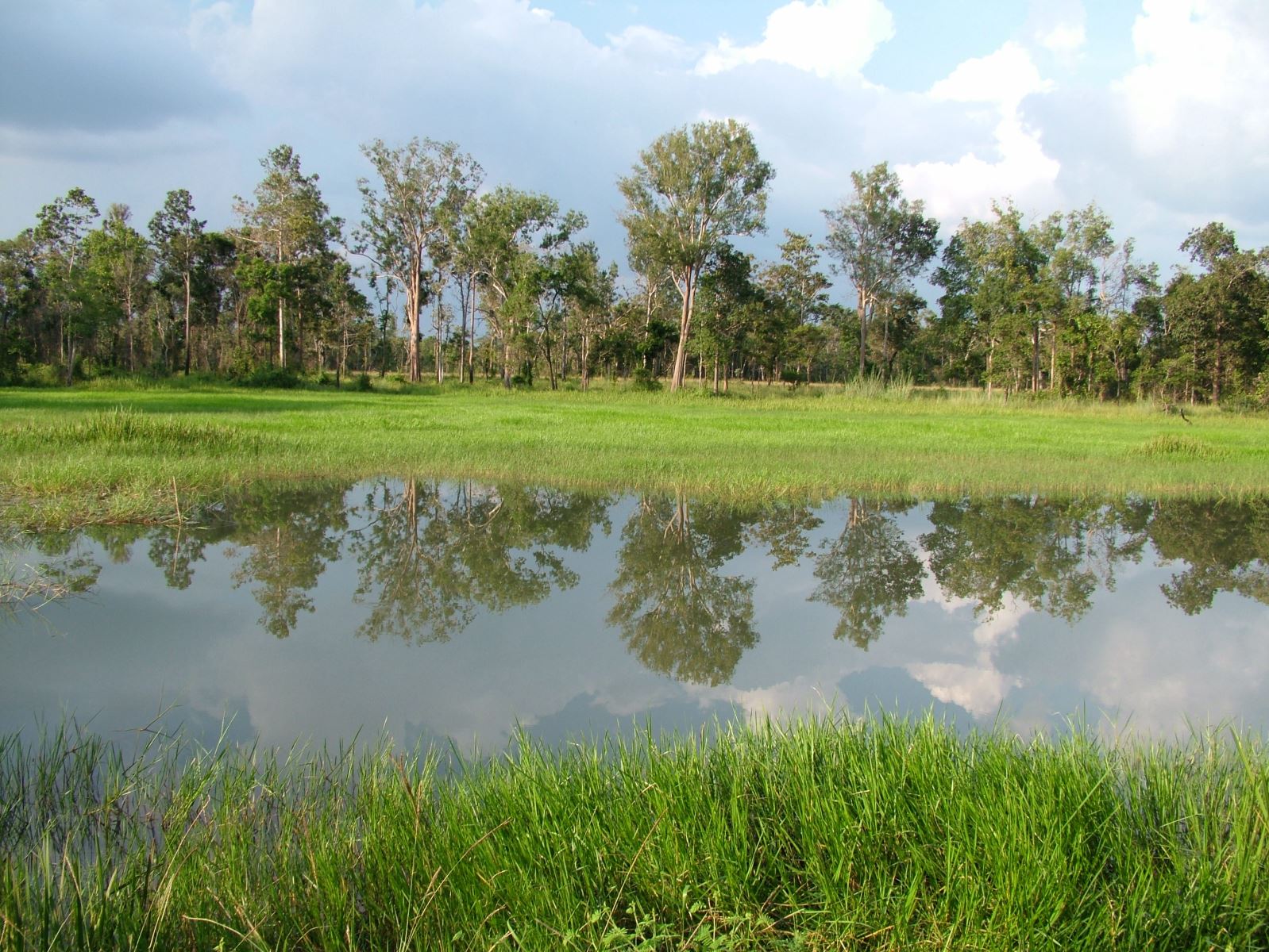 Hệ sinh thái vườn quốc gia Lò Gò Xa Mát