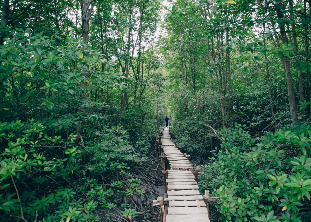 Hiking ấp đảo Thiềng Liềng