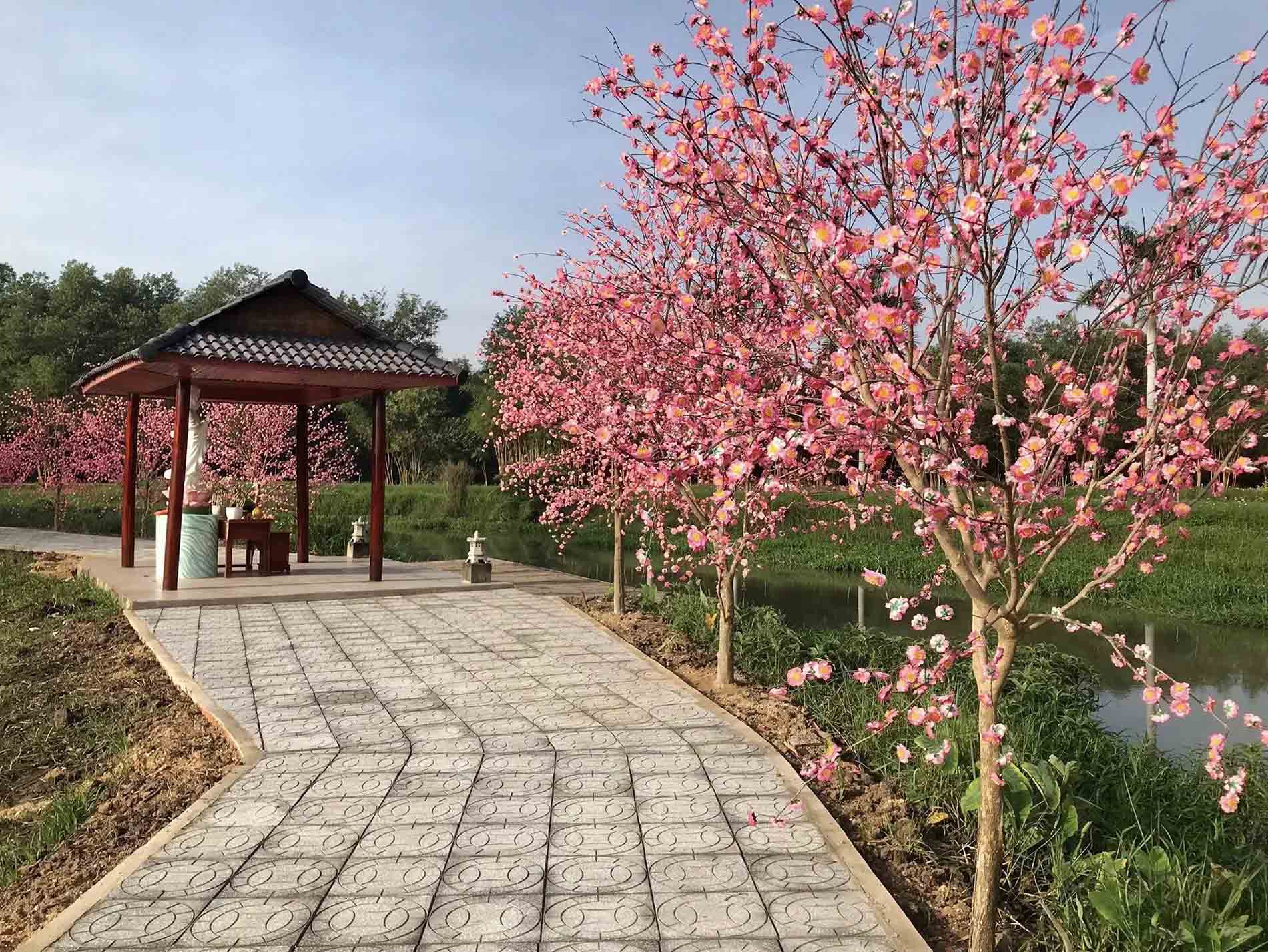 Hoa anh đào tại Thủy Hoa Viên